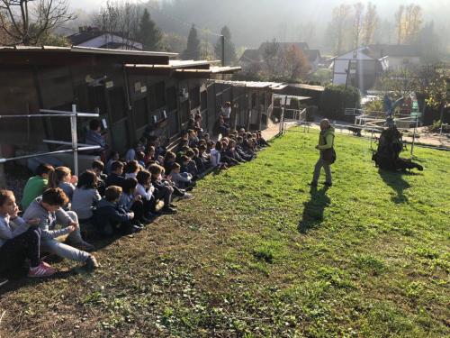 scuole (1)