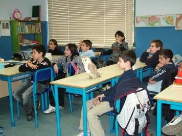 scuole (2)