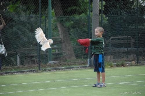 scuole (32)