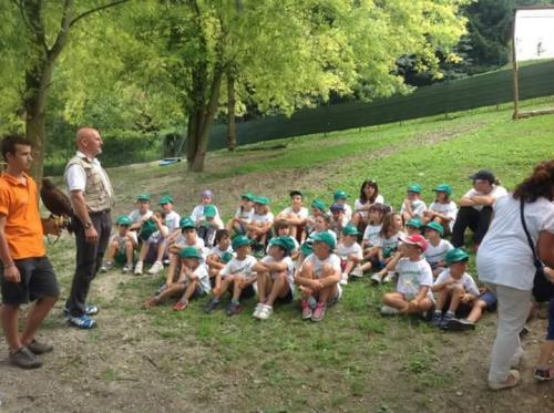scuole (37)